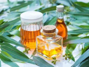 Benefits of Eucalyptus oil
