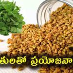 Fenugreek Seeds | మెంతి గింజల నీరు వల్ల కలిగే ప్రయోజనాలు: