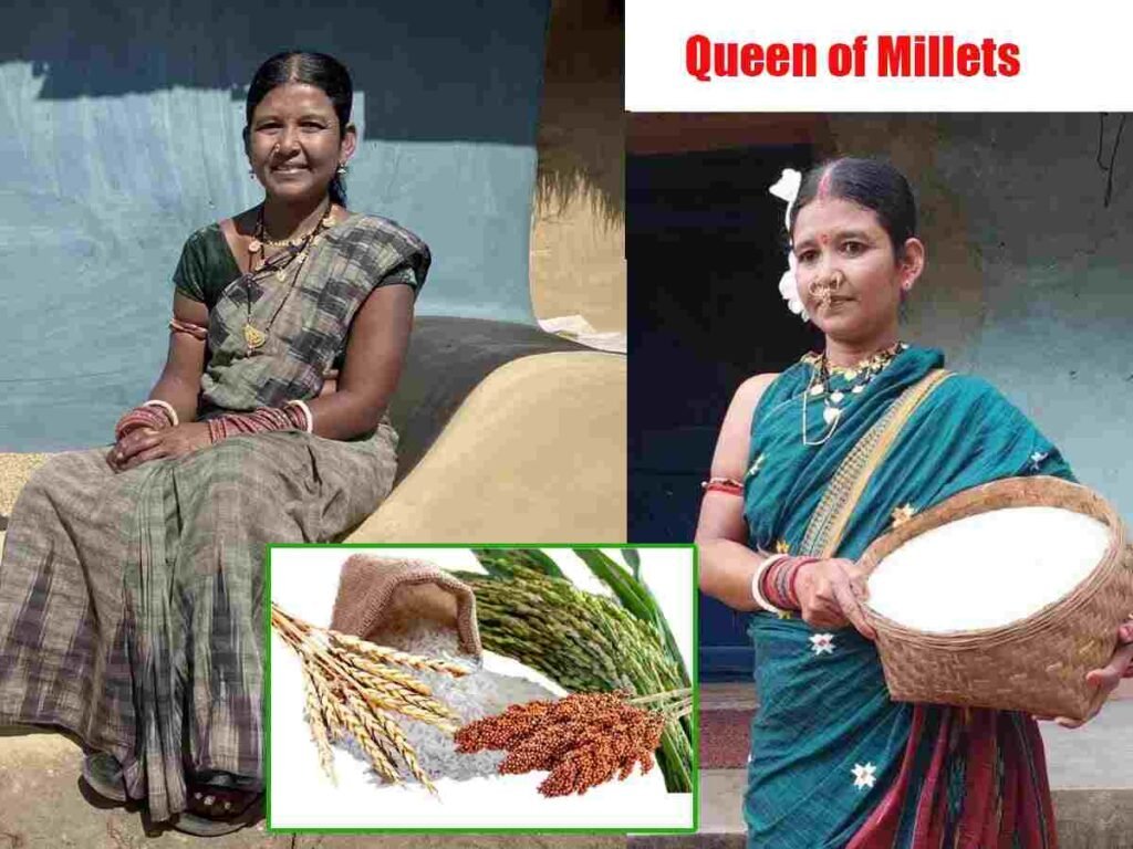 queen of millets