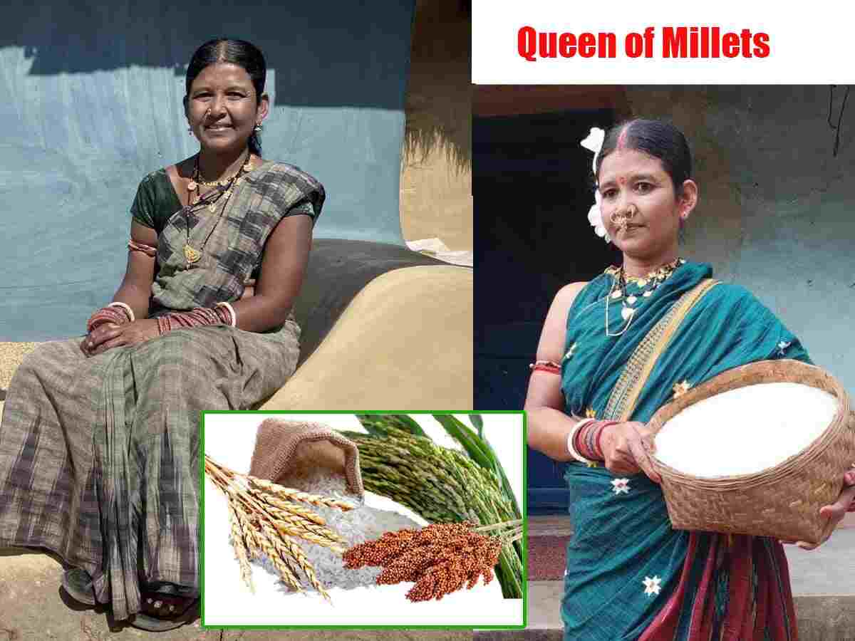 Millets Farming | అందరూ ఈమెను ‘క్వీన్ ఆఫ్ మిల్లెట్స్’ పిలుస్తారు.. గిరిజన మహిళా రైతు ఘనత చూస్తే