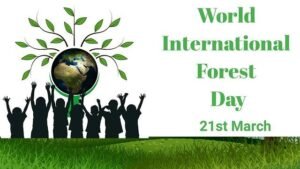 World Forest Day International Day of Forests