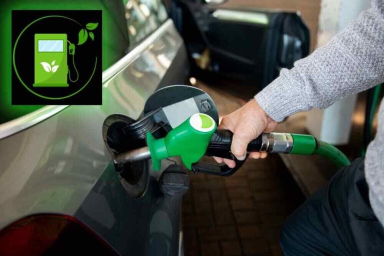 Biofuel | బ‌యో ఫ్యూయ‌ల్.. భవిష్యత్ లో మానవ మనుగడకు ఇదే తప్పనిసరి..