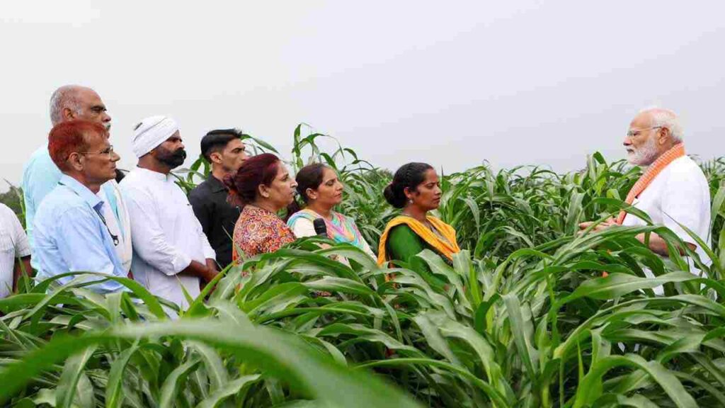 Climate Resilient Seed Varieties