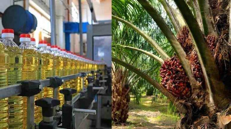 Oil Palm Factory | రాష్ట్రంలో రూ.300 కోట్లతో జిల్లాలో పామ్‌ ఆయిల్‌ ‌ఫ్యాక్టరీ
