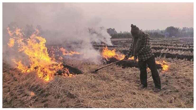 Stubble Burning : వ్య‌వ‌సాయ వ్య‌ర్థాల‌ను ద‌హ‌నం చేస్తున్నారా? అయితే రూ.30,000 జ‌రిమానా చెల్లించాల్సిందే..