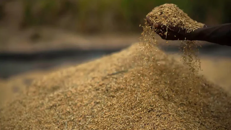 de-oiled rice bran | పాల ధ‌ర‌ల‌ను త‌గ్గించే దిశ‌గా కేంద్రం సంచ‌ల‌న నిర్ణ‌యం..