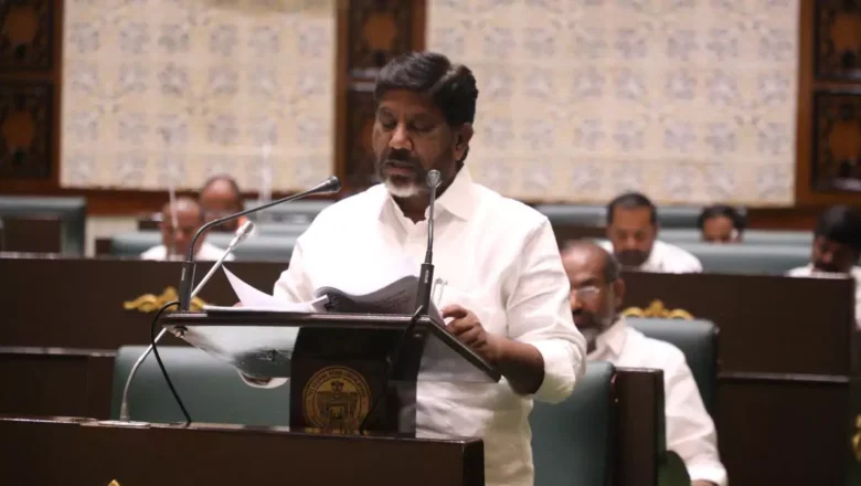 Telangana Budget 2025 -26: మహిళలకు వెయ్యి మెగావాట్ల సోలార్ విద్యుత్ ప్లాంట్లు