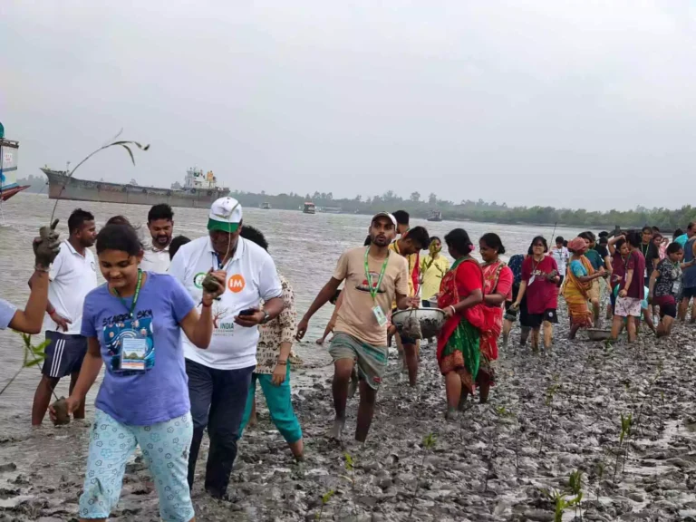 Green India Challenge | సుందర్‌బన్స్‌లో మడ అడవుల పెంపకం
