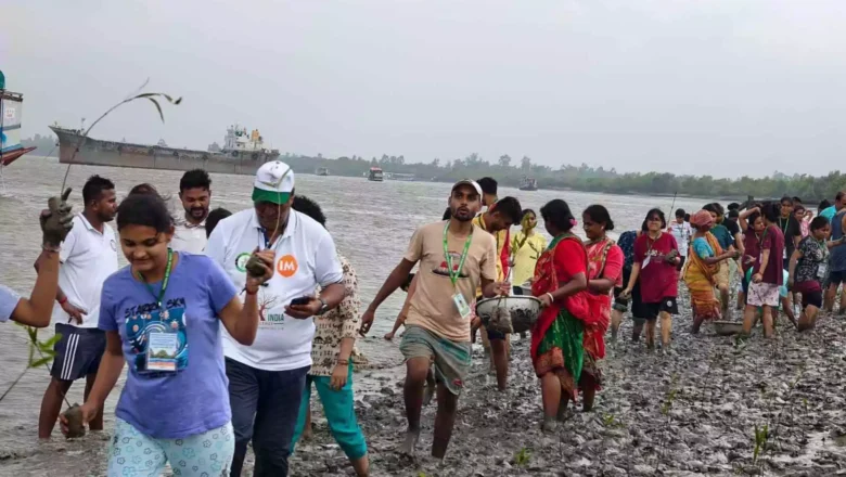 Green India Challenge | సుందర్బన్స్లో మడ అడవుల పెంపకం