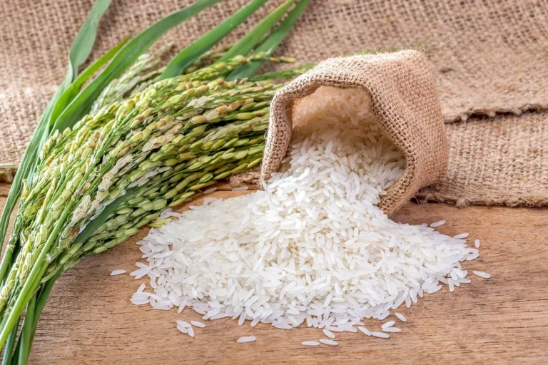 BIRC 2025 : 26 దేశాలకు భారత బియ్యం ఎగుమతి