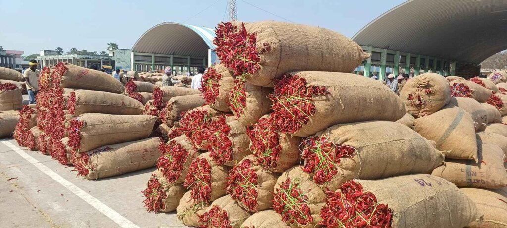Warangal Market Prices Today |