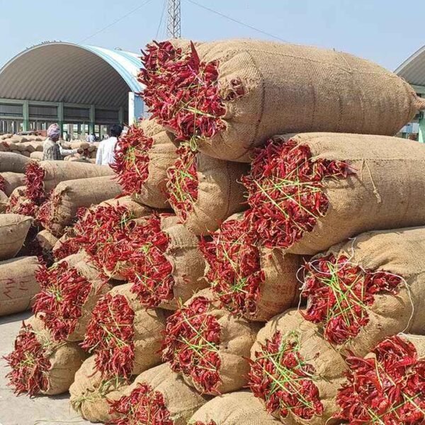 Warangal Market Prices | వరంగల్ మార్కెట్‌లో మిర్చి రికార్డు ధర @₹37,000!