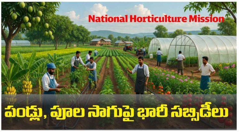 జాతీయ ఉద్యానవన మిషన్ (NHM): పండ్లు, పూల సాగుపై భారీ సబ్సిడీలు.. రైతులకు లాభాల పంట!