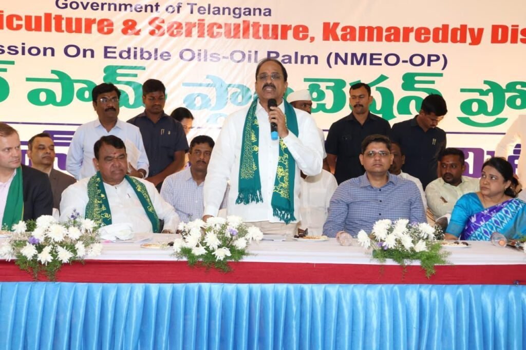 Oil Palm Cultivation