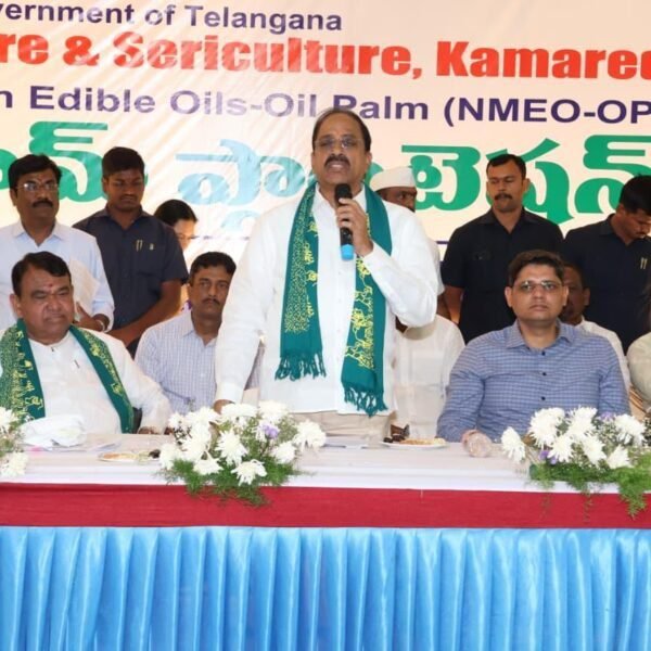 Oil Palm Cultivation | ఆయిల్ పామ్ సాగుతో ఎకరానికి ₹2 లక్షల ఆదాయం!