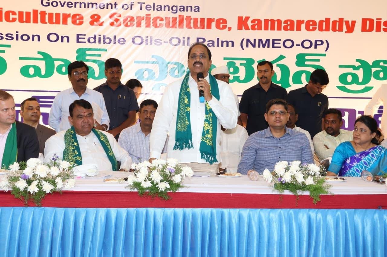 Oil Palm Cultivation | ఆయిల్ పామ్ సాగుతో ఎకరానికి ₹2 లక్షల ఆదాయం!