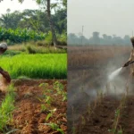 సేంద్రీయ వ్యవసాయం vs రసాయన వ్యవసాయం: ఏది మనకు శ్రీరామరక్ష? సంపూర్ణ సమాచారం – Organic vs Ohemical Farming