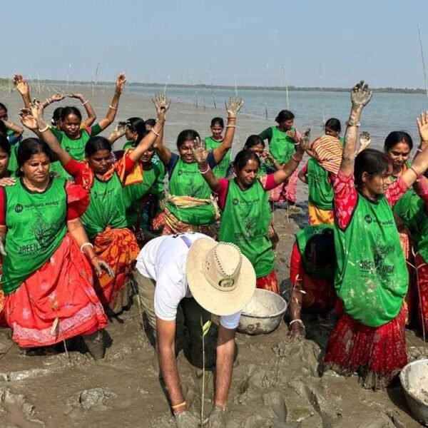 Sundarbans Mangrove plantation | ‘గ్రీన్’ విప్లవం – కేసీఆర్ జన్మదినం సందర్భంగా 10 వేల మడ మొక్కల పెంపకం !
