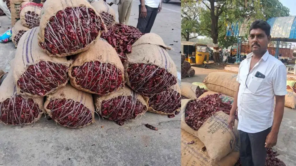Warangal Market Mirchi Price