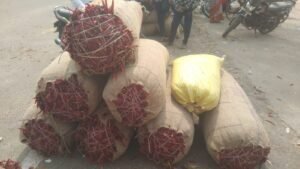 ఎర్ర బంగారం రికార్డు బ్రేక్! వరంగల్ మార్కెట్లో క్వింటాల్ మిర్చి ₹37,100..