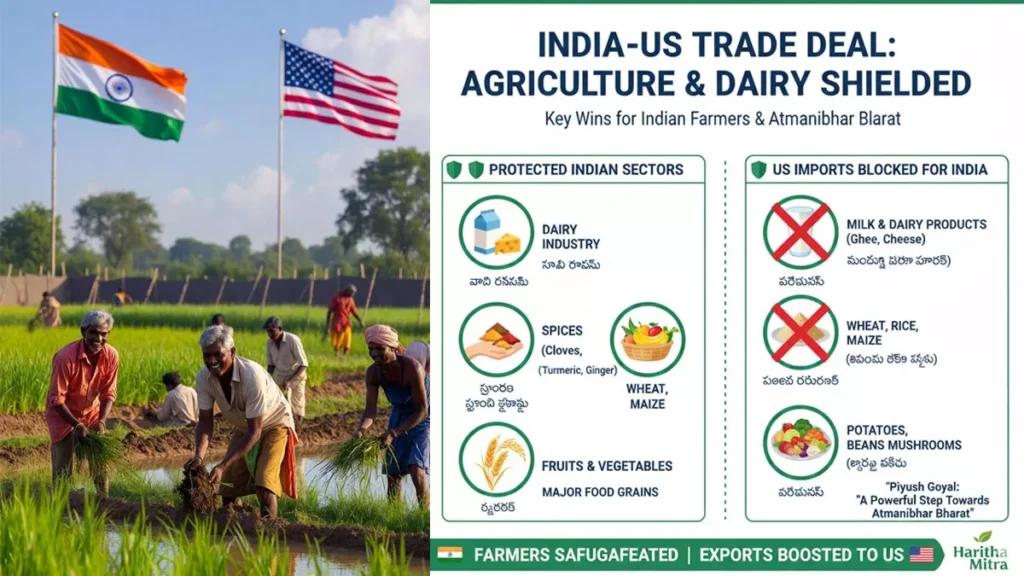అమెరికా-భారత్ వాణిజ్య ఒప్పందం: మన రైతులకు ‘రక్షణ కవచం’.. ఆ దిగుమతులకు నో ఎంట్రీ! -India US Trade Deal Agriculture