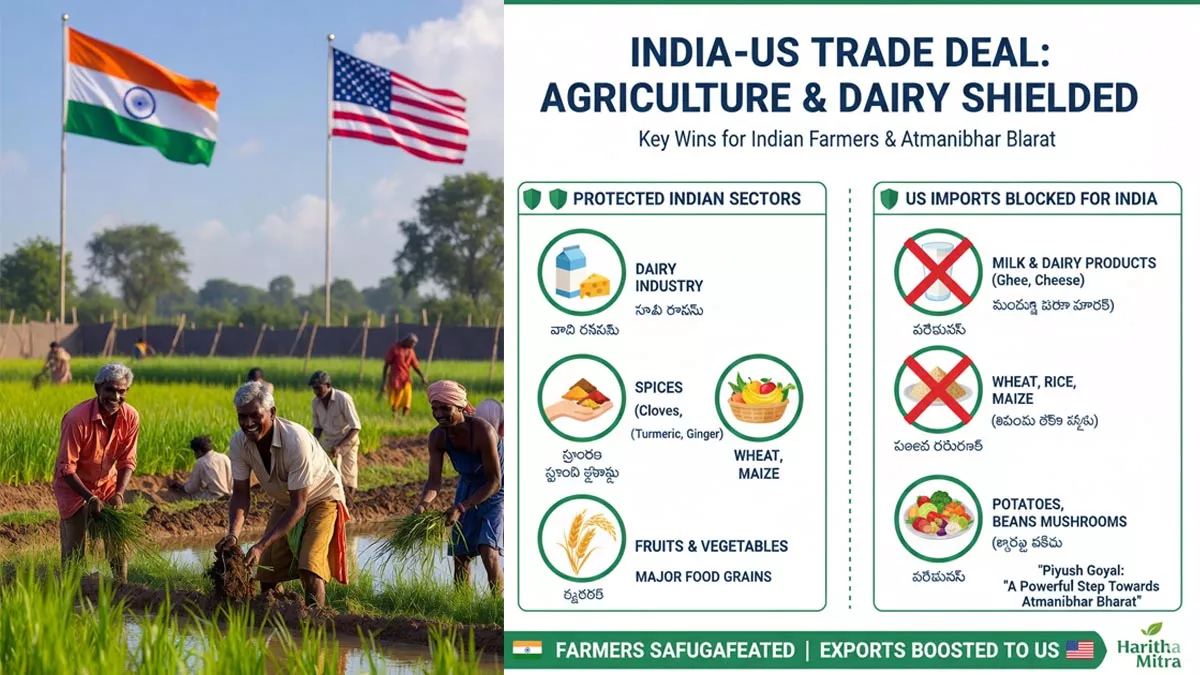 అమెరికా-భారత్ వాణిజ్య ఒప్పందం: మన రైతులకు ‘రక్షణ కవచం’.. ఆ దిగుమతులకు నో ఎంట్రీ! -India US Trade Deal Agriculture