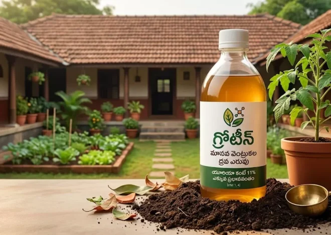 మానవ వెంట్రుకలతో ఎరువులు.. యూరియా కంటే 11% ఎక్కువ ప్రభావవంతం! – Human Hair Fertilizer