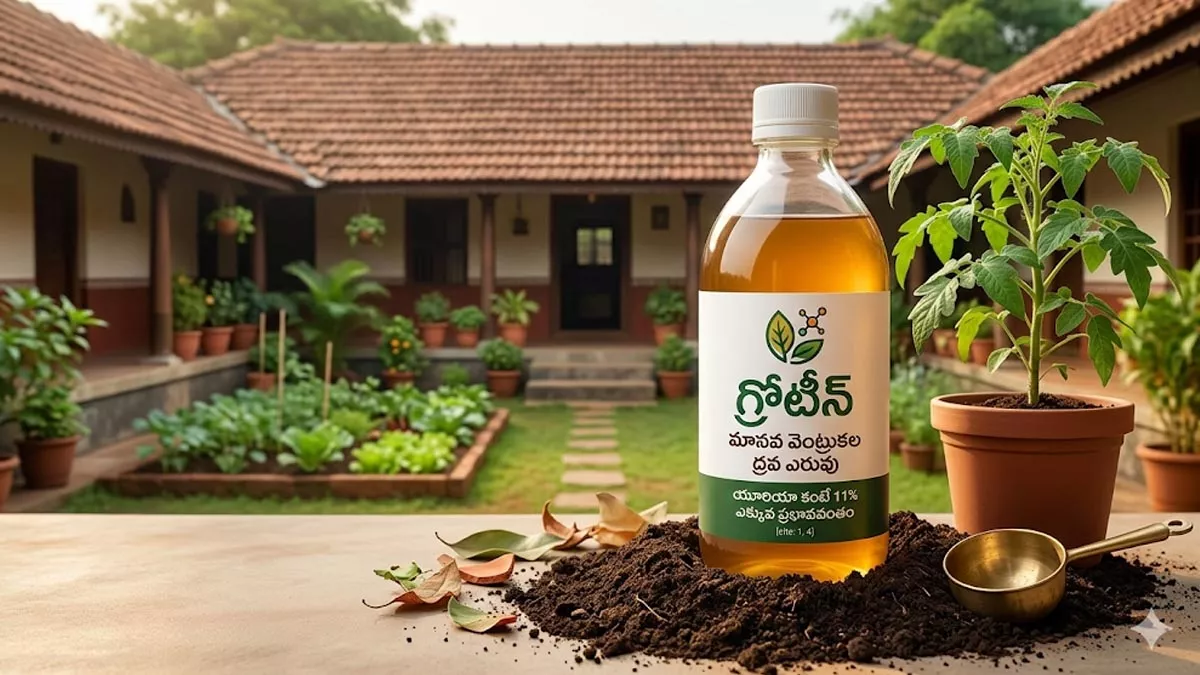 మానవ వెంట్రుకలతో ఎరువులు.. యూరియా కంటే 11% ఎక్కువ ప్రభావవంతం! – Human Hair Fertilizer