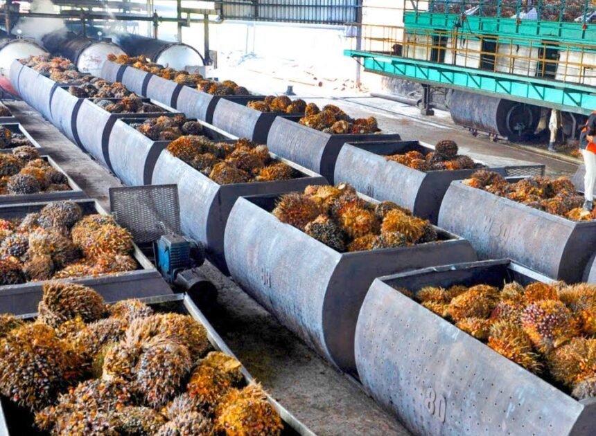 Oil Palm | వ్యవసాయ రంగంలో మరో మైలురాయి: 22న నర్మెట్ట ‘ఆయిల్ పామ్ ఫ్యాక్టరీ’ ప్రారంభం!