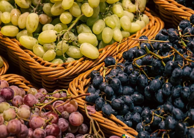 పశ్చిమాసియా ఉద్రిక్తతలతో ద్రాక్ష ఎగుమతులకు బ్రేక్ – West Asia Conflict