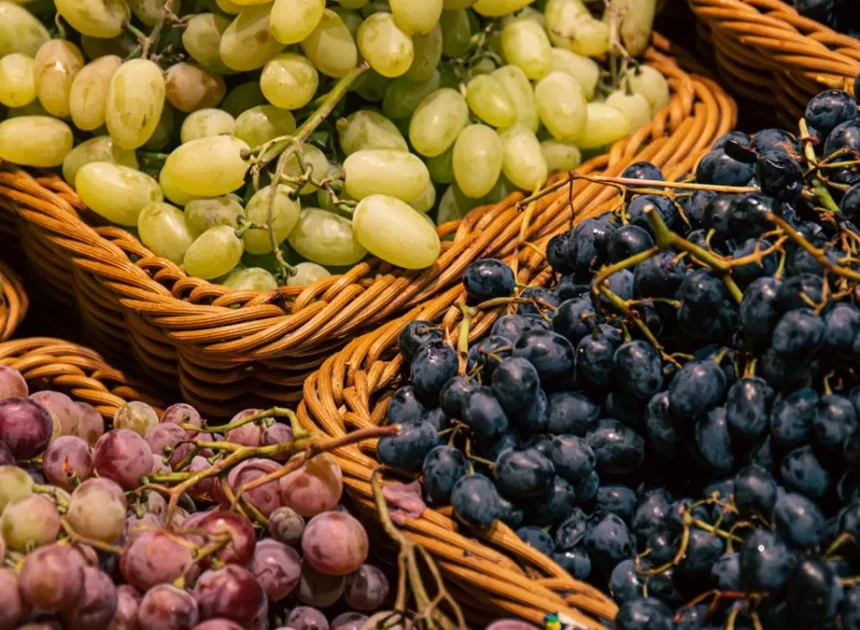 పశ్చిమాసియా ఉద్రిక్తతలతో ద్రాక్ష ఎగుమతులకు బ్రేక్ – West Asia Conflict