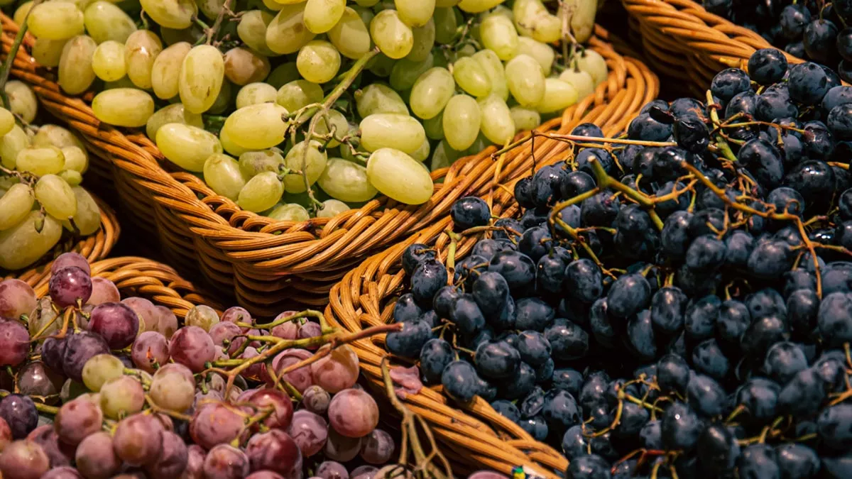 పశ్చిమాసియా ఉద్రిక్తతలతో ద్రాక్ష ఎగుమతులకు బ్రేక్ – West Asia Conflict
