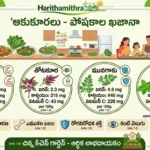 Leafy Vegetables nutritional-chart-telugu-harithamithra