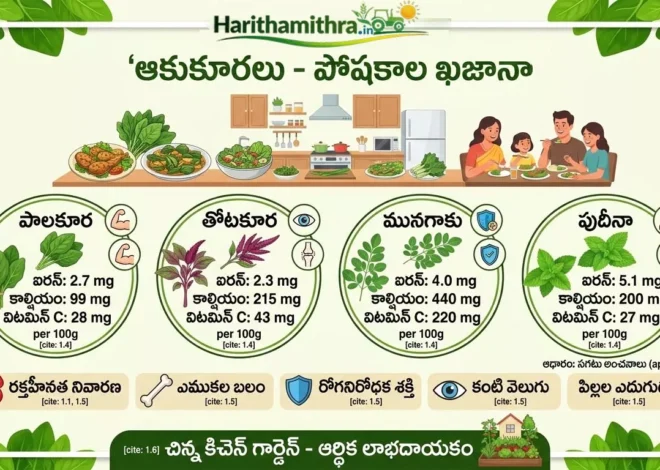 Leafy Vegetables | తక్కువ ఖర్చు.. మెండుగా ఆరోగ్యం: ఆకుకూరలు నిజంగానే ‘పోషకాల ఖజానా’!
