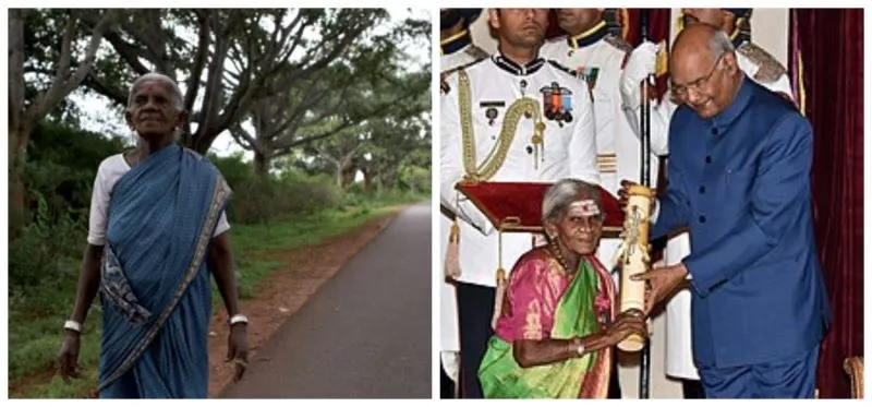 Saalumarada Thimmakka