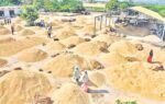 IKP Paddy Procurement Centers Telangana