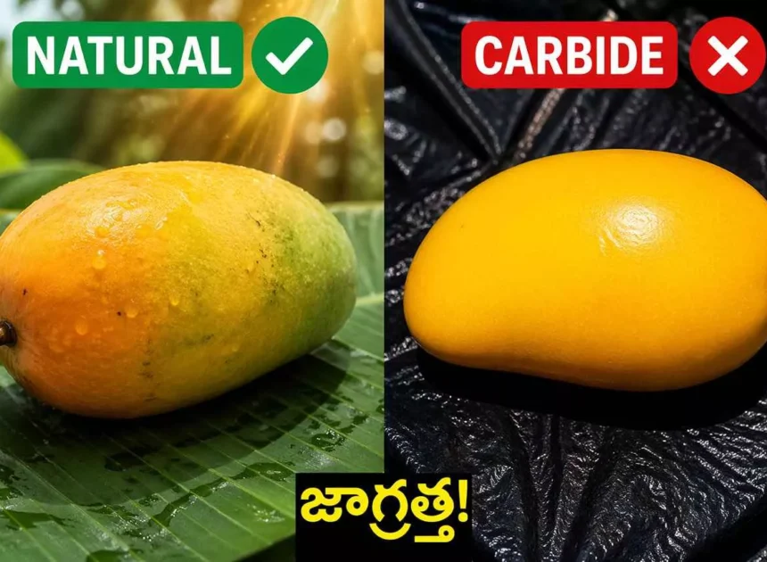 జాగ్రత్త! మీరు తినే మామిడి పండు ‘తీపి విషం’ కావచ్చు.. రసాయన మామిడిని గుర్తించడం ఎలా?