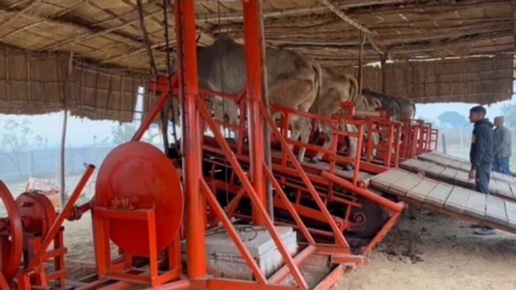 Nandi Rath bull powered electricity