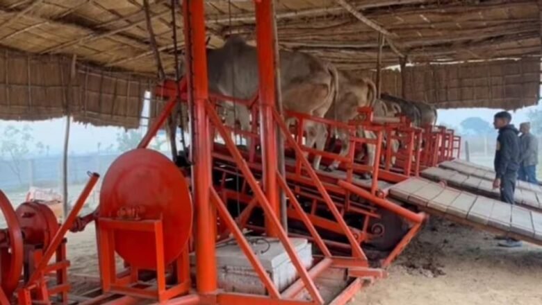 ఎద్దులతో విద్యుత్ ఉత్పత్తి: ‘నంది రథం’ – గ్రామీణ భారత్‌లో సరికొత్త ఇంధన విప్లవం! – Nandi Rath bull powered electricity