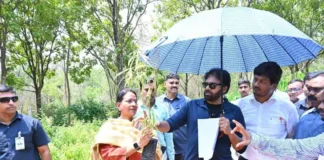 ప్రతి గ్రామ పంచాయతీలోనూ ‘దేశీయ వనాలు’: ఉప ముఖ్యమంత్రి పవన్ కళ్యాణ్ కీలక ఆదేశాలు! పవన్ కళ్యాణ్ (Pawan Kalyan)