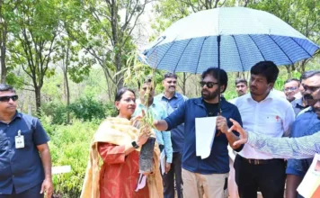 ప్రతి గ్రామ పంచాయతీలోనూ ‘దేశీయ వనాలు’: ఉప ముఖ్యమంత్రి పవన్ కళ్యాణ్ కీలక ఆదేశాలు! పవన్ కళ్యాణ్ (Pawan Kalyan)