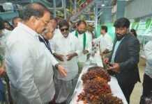 ఖమ్మంలో రూ.300 కోట్లతో ‘గోద్రెజ్ ఇంటిగ్రేటెడ్ ఆయిల్ పామ్ ఫ్యాక్టరీ పామ్ ఆయిల్ సాగు