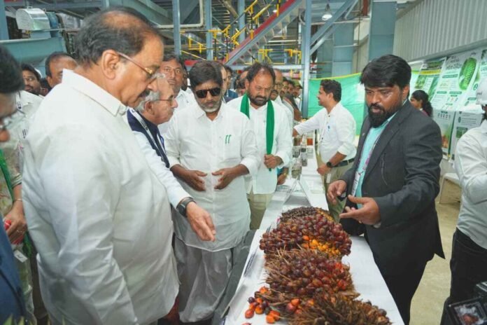 పామ్ ఆయిల్ సాగు పామ్ ఆయిల్ సాగు